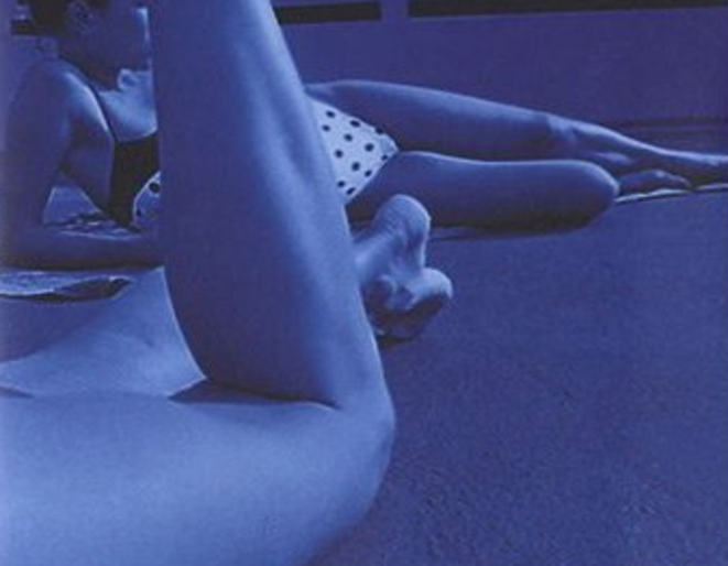 Martin Amis et les dessous de l’histoire : La Veuve enceinte